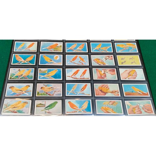 9 - Set of Hydes Canary Culture cards including premium cards