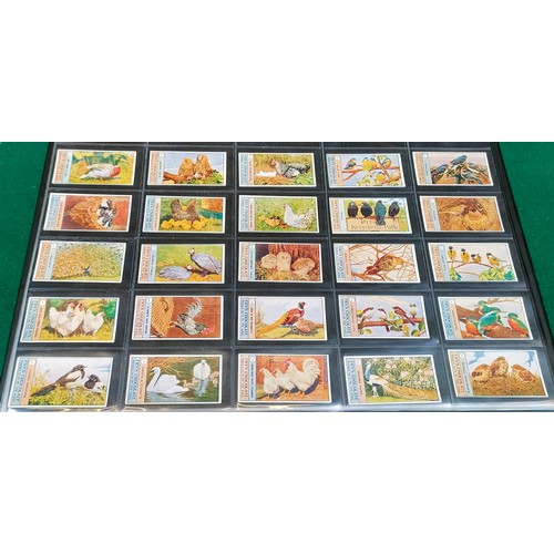 11 - Set of Frys Birds and Poultry cards