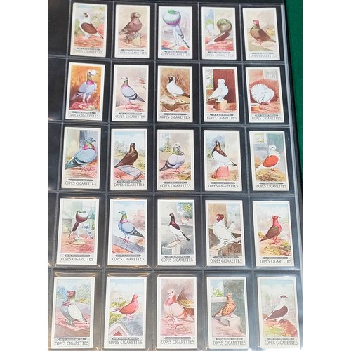 13 - Set of Copes Pigeons cards