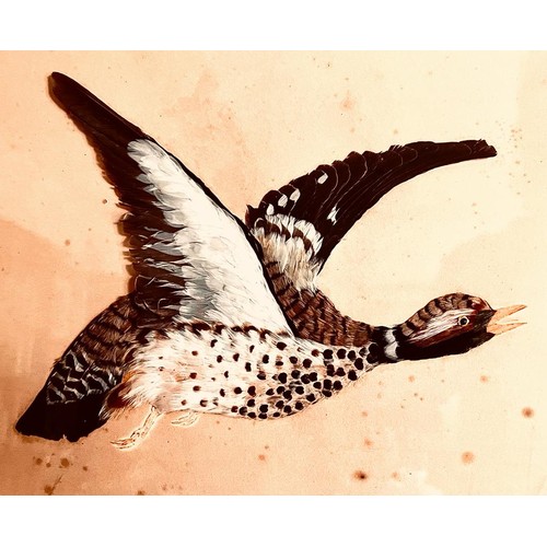 236 - PAIR- FLYING WATERFOWL, APPLIQUE FEATHERS ON WATERCOLOUR, EACH APPROXIMATELY 40 x 28cm