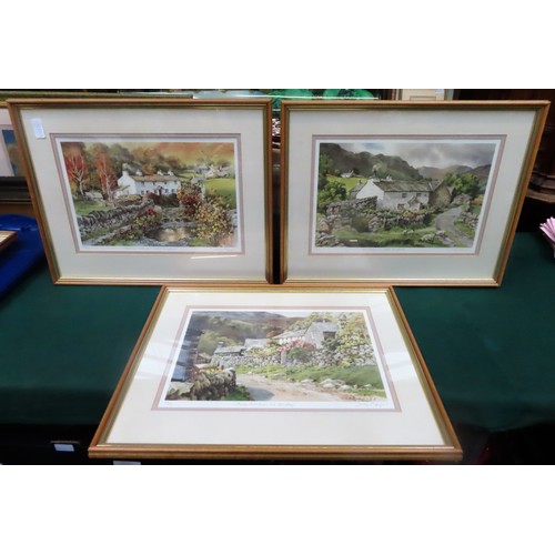 211 - Set of three Judy Boyes pencil signed limited edition polychrome prints. Approx. 26.5 x 39cm