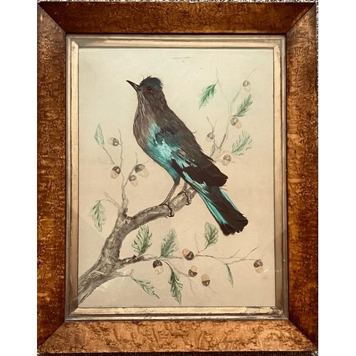 213 - ORNITHOLOGICAL SUBJECT CONSTRUCTED FROM REAL FEATHERS, PERCHING ON AN OAK BRANCH, MAPLE FRAME, ROWLE... 