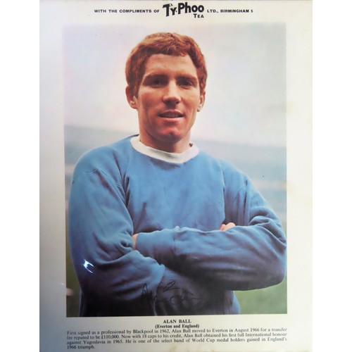 35 - 14 Typhoo Tea premium 1st issue International Football Stars, plus three others similar