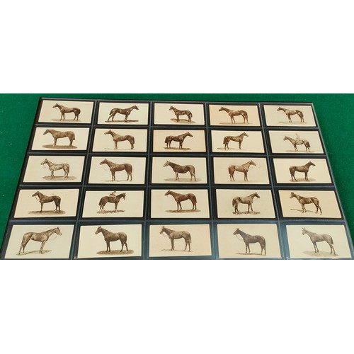 87 - Set of Sandories Famous Racehorses cards