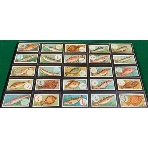 92 - Set of Wills Fish and Bait cards