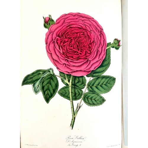 40 - WILLIAM PAUL, 'THE ROSE GARDEN', 1848, HIGH QUALITY CHROMO LITHOGRAPHIC ILLUSTRATIONS, CLOTH BOARD