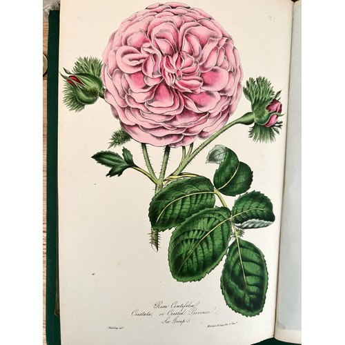 22 - WILLIAM PAUL, 'THE ROSE GARDEN', 1848, HIGH QUALITY CHROMO LITHOGRAPHIC ILLUSTRATIONS, CLOTH BOARD