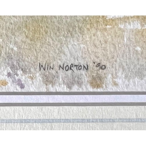 210 - WIN NORTON, WATERCOLOUR, POSSIBLY MANX VILLAGE, SIGNED RIGHT HAND CORNER, FRAMED AND GLAZED, APPROX ... 