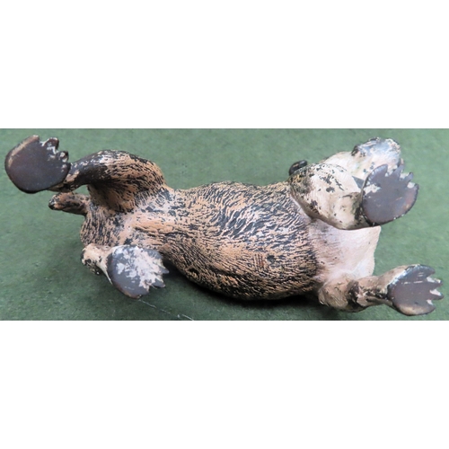 128 - Small cold painted bronze figure of a pug, in the manner of Bergman. Approx. 8.5cms H