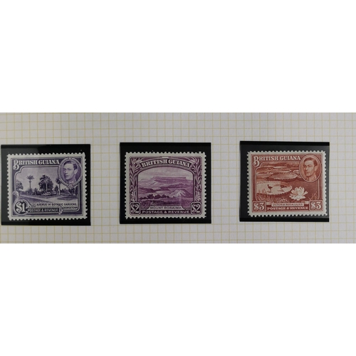 19 - M or UM mainly KGVI collection well written up in Senator album  incl. Br. Guiana 1934 and 1938 defi... 