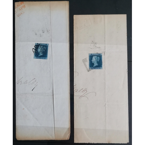 461 - 1841 1d REDS and 2d BLUES. Collection on stocksheets  the 1d's (172) incl. one fresh unused  several... 