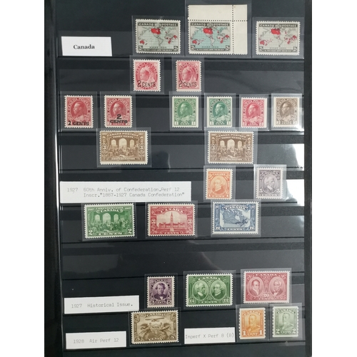 1 - ***VIDEO AVAILABLE*** Very good BC KGV-VI apparently all UM collection in 4 boxed Lighthouse stockbo... 