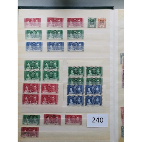 240 - CEYLON.Duplicated M and U ranges in 2 stockbooks  strength in KGVI defins incl. UM blocks. (many 100... 