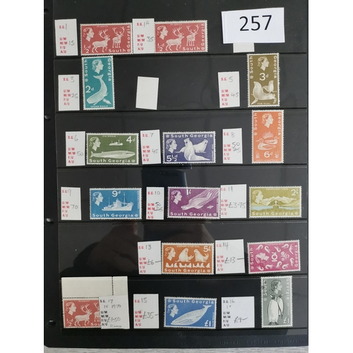 Lot 257       