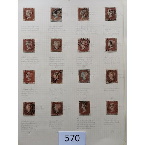 570 - QUEEN VICTORIA. 1841 1d REDS. A  used collection on leaves  most apparently plated  many with MC can... 