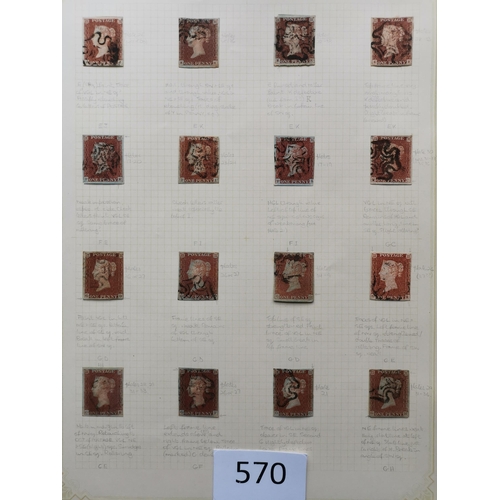 570 - QUEEN VICTORIA. 1841 1d REDS. A  used collection on leaves  most apparently plated  many with MC can... 