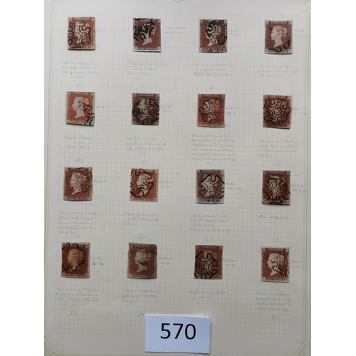 570 - QUEEN VICTORIA. 1841 1d REDS. A  used collection on leaves  most apparently plated  many with MC can... 