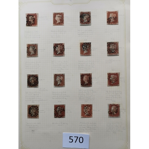 570 - QUEEN VICTORIA. 1841 1d REDS. A  used collection on leaves  most apparently plated  many with MC can... 