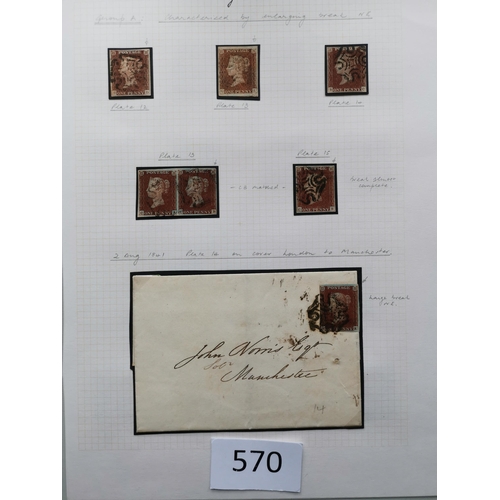 570 - QUEEN VICTORIA. 1841 1d REDS. A  used collection on leaves  most apparently plated  many with MC can... 