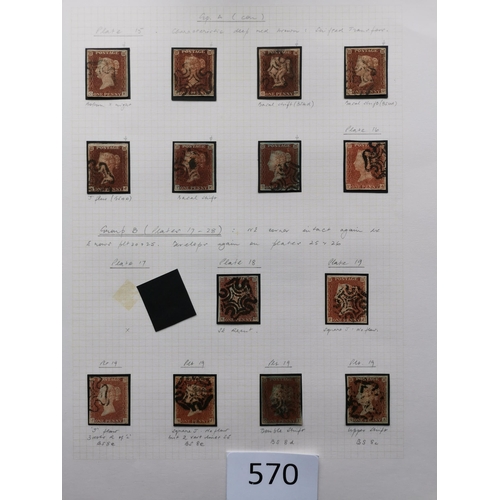 570 - QUEEN VICTORIA. 1841 1d REDS. A  used collection on leaves  most apparently plated  many with MC can... 