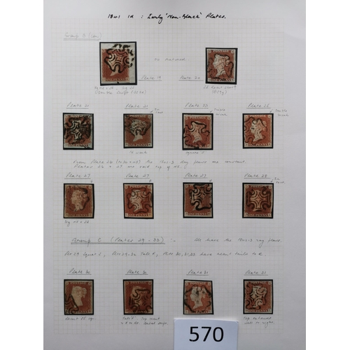 570 - QUEEN VICTORIA. 1841 1d REDS. A  used collection on leaves  most apparently plated  many with MC can... 