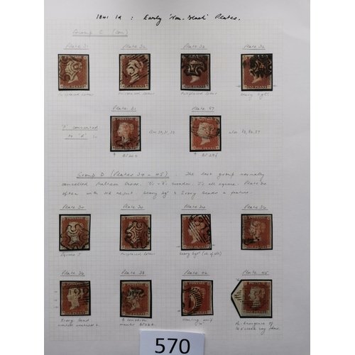 570 - QUEEN VICTORIA. 1841 1d REDS. A  used collection on leaves  most apparently plated  many with MC can... 