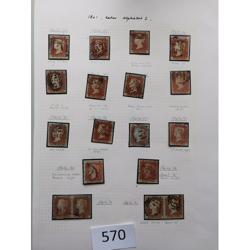 570 - QUEEN VICTORIA. 1841 1d REDS. A  used collection on leaves  most apparently plated  many with MC can... 