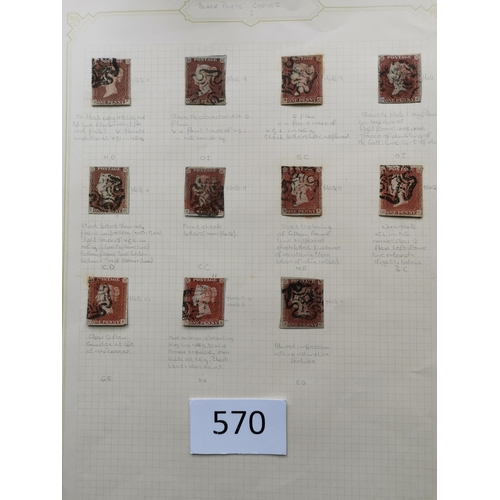 570 - QUEEN VICTORIA. 1841 1d REDS. A  used collection on leaves  most apparently plated  many with MC can... 