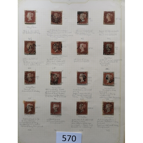 570 - QUEEN VICTORIA. 1841 1d REDS. A  used collection on leaves  most apparently plated  many with MC can... 