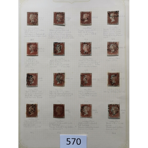 570 - QUEEN VICTORIA. 1841 1d REDS. A  used collection on leaves  most apparently plated  many with MC can... 