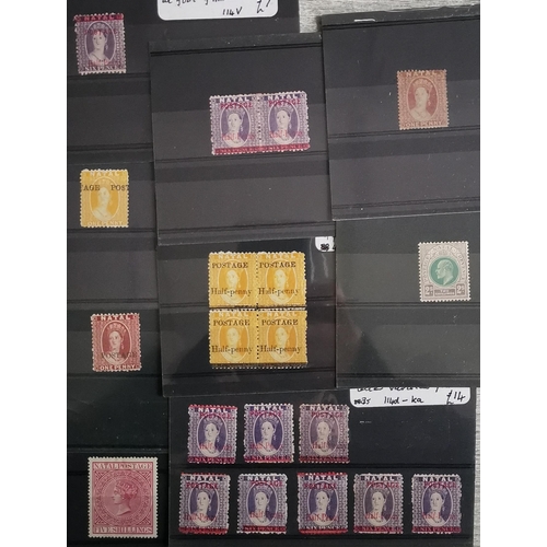 526 - SOUTH AFRICA.  NATAL. Unused/o.g. selection of priced items on cards  mixed condition with Chalon va... 