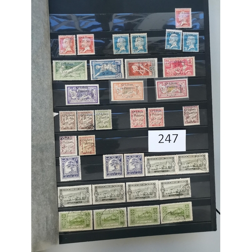 247 - ***VIDEO AVAILABLE*** LEBANON.  Extensive early to 1950 ranges in stockbook  various 1924 surcharges... 