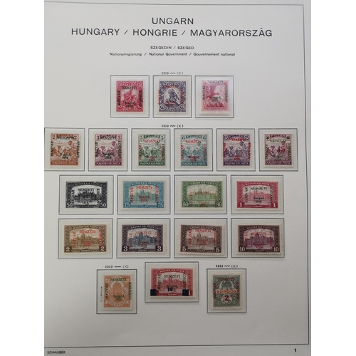 154 - HUNGARY.  OCCUPATION ISSUES. A fine collection of 1919-21 occupation issues on printed Schaubek leav... 