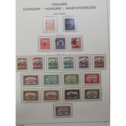 154 - HUNGARY.  OCCUPATION ISSUES. A fine collection of 1919-21 occupation issues on printed Schaubek leav... 