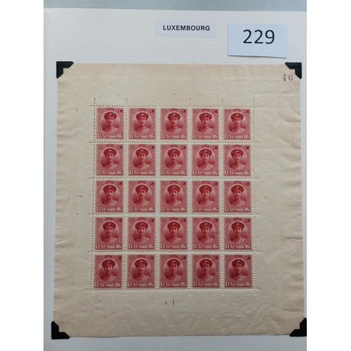 229 - LUXEMBOURG.  1921 Birth of Crown Prince 15c carmine M. sheetlet of 5  and M. sheetlet of 25 numbered... 