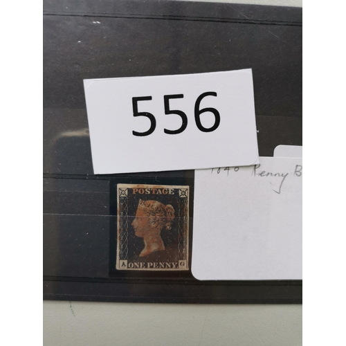 Lot 556       