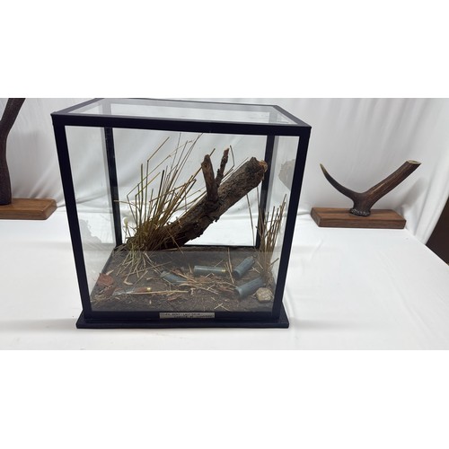 Lot 9         