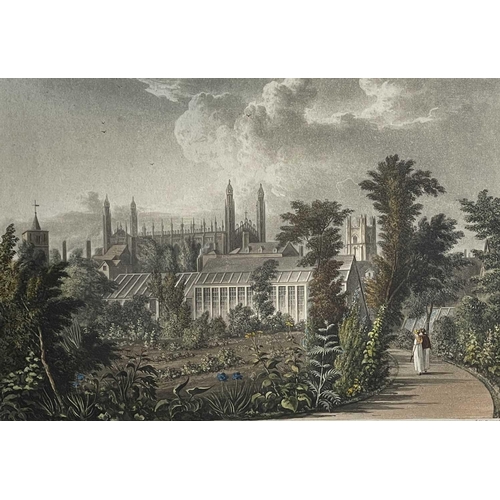 1409 - Joseph Constantine STADLER after William WESTALL ARA 'Botanic Garden' (Cambridge) Hand coloured engr... 