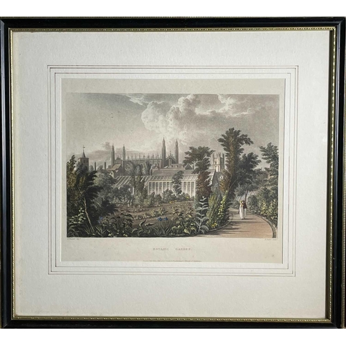 1409 - Joseph Constantine STADLER after William WESTALL ARA 'Botanic Garden' (Cambridge) Hand coloured engr... 