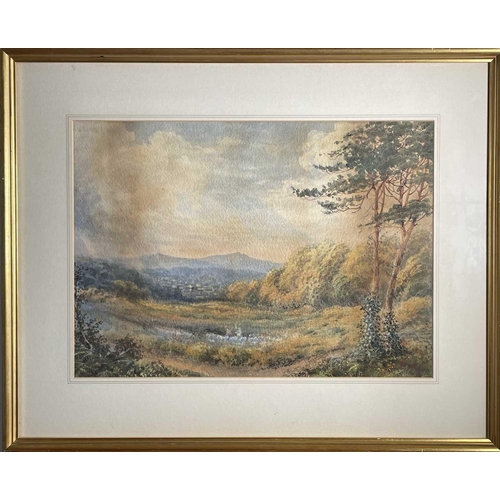 1414 - C WAY (Late 19th/Early 20th Century British School) View Near Lustleigh Devon Watercolour Signed Ins... 