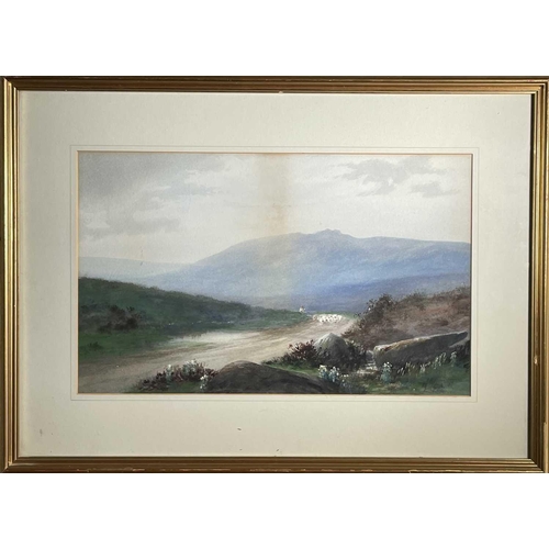 1421 - William Henry DYER (act. 1890-1930) 'Road to the Moors' Watercolour Signed Inscribed as titled on la... 