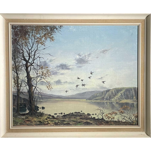 1479 - Nigel HALLARD (1936-2020) a flock of ducks in flight on an autumnal day, oil on canvas, signed, fram... 