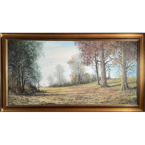 1480 - Nigel HALLARD (1936-2020), a woodland scene, oil on canvas, signed, framed, image size 50cm x 100cm.