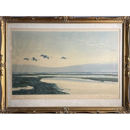 1482 - Peter Markham SCOTT (1909-1989), swans flying over a landscape, print in colour, signed, framed, 51c... 