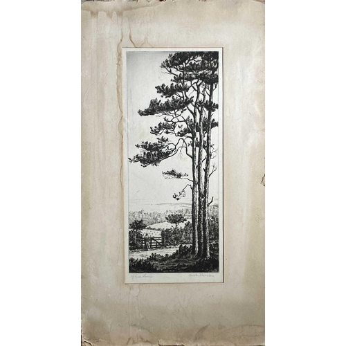 1497 - Harold THORNTON (1892-1958) 'Upland Pines', etching, signed, plate size 39cm x 16.5cm.