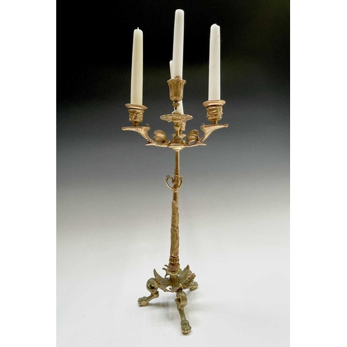 25 - A pair of gilt metal ornate candelabra, probably French, circa 1890, each with a central sconce and ... 