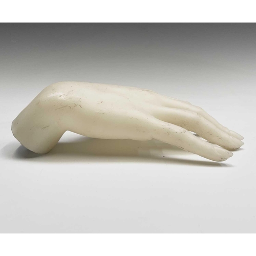 308 - Two mannequin hands. Length 22cm.