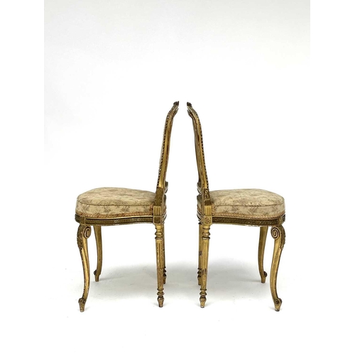 3172 - A Pair of 19th century French giltwood salon chairs with tapestry upholstered seats and backs, on ca... 