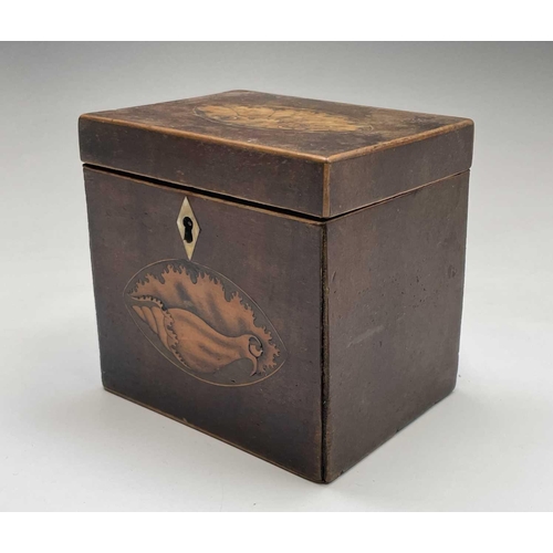 325 - A George III mahogany and chequer strung tea caddy with two lidded compartments, width 20cm, togethe... 