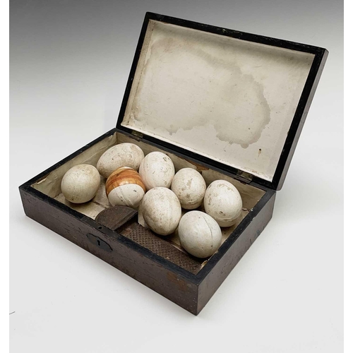 364 - Eight Victorian ceramic eggs and a nutmeg grater within a 'Chess' box, together with five Victorian ... 